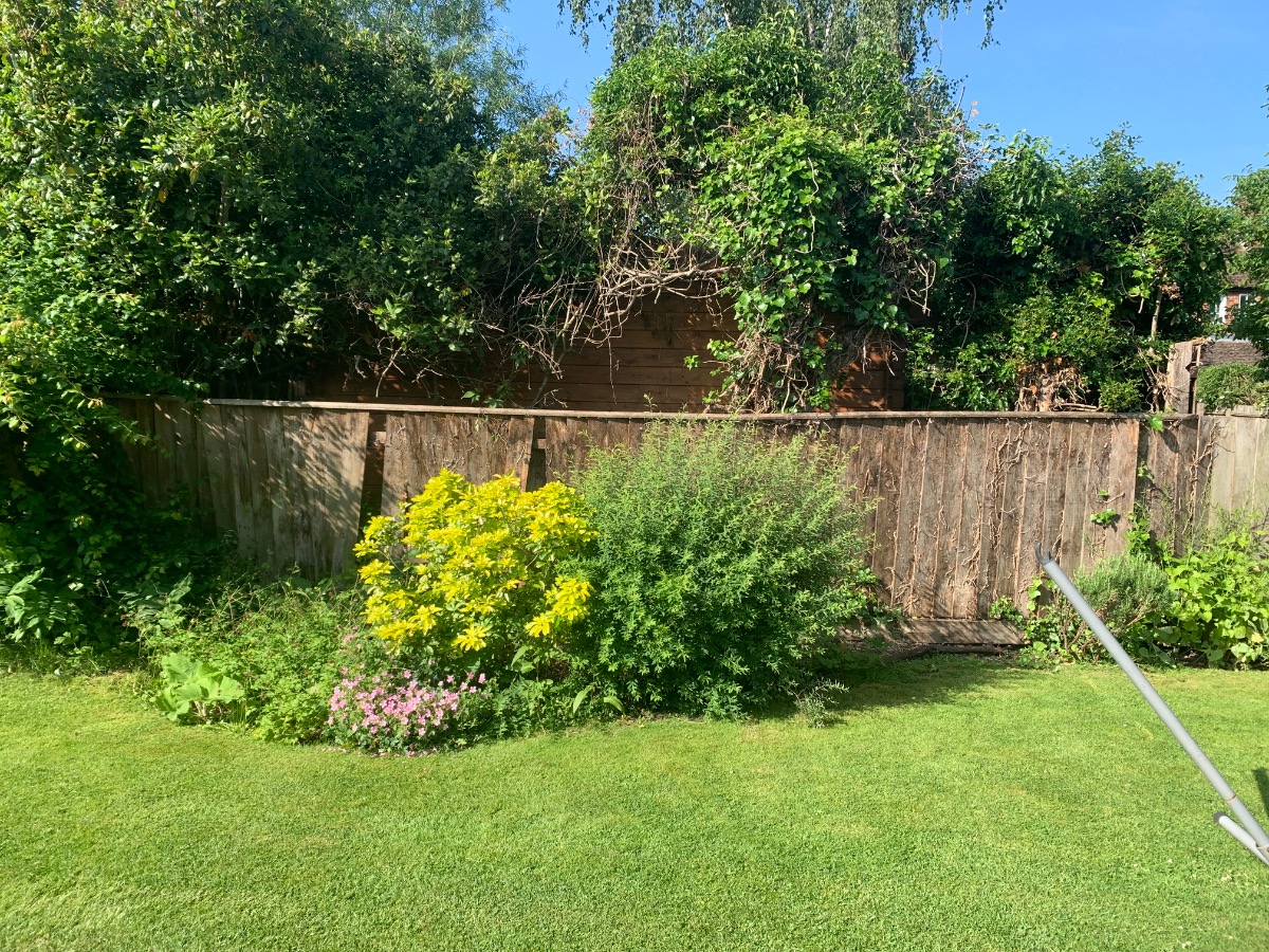 Fencer: Image 9